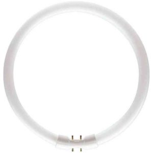TL5 CIRKEL 22W / 830