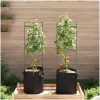 Tomatbur med växtpåse 2 st stål och PP vidaXL 116 cm – miniatyr 3