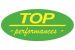 TOP PERFORMANCES Logo