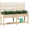 Trädgårdsbänk med Spaljé och Hylla 203x53x152 cm Massivt Furu vidaXL 203,5 x 54 x 152,5 cm – miniatyr 3