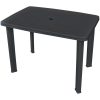 Trädgårdsbord antracit plast vidaXL 101 x 68 x 72 cm – miniatyr 1