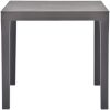 Trädgårdsbord mocca 78x78x72 cm plast vidaXL – miniatyr 2