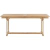 Trädgårdsbord utdragbart 180- massiv teak vidaXL 280 x 100 x 75 cm – miniatyr 4