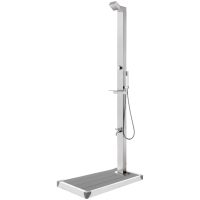 Trädgårdsdusch med grått golv 225 cm rostfritt stål vidaXL