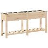 Trädgårdsgrotta med galler 161x43x76 cm Massivt Furu vidaXL 161.5 x 45 x 76.5 cm – miniatyr 2