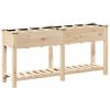 Trädgårdsgrotta med galler 161x43x76 cm Massivt Furu vidaXL 161.5 x 45 x 76.5 cm – miniatyr 7