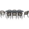 Trädgårdsmatsalset 9 pcs Brun vidaXL Large – miniatyr 7