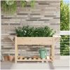 Trädgårdsplanter med hyllor 155x59x76 cm Massivt trä furu vidaXL 155 x 59 x 76.5 cm – miniatyr 1