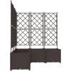 Trädgårdsplanter med spaljé 5 st Brun vidaXL 120 x 120 x 143 cm – miniatyr 5