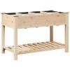 Trädgårdsplanterare med galler 115x59x76 cm Massivt trä Furu vidaXL 115 x 59 x 76.5 cm – miniatyr 2