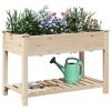 Trädgårdsplanterare med galler 115x59x76 cm Massivt trä Furu vidaXL 115 x 59 x 76.5 cm – miniatyr 3
