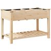 Trädgårdsplanterare med galler 115x59x76 cm Massivt trä Furu vidaXL 115 x 59 x 76.5 cm – miniatyr 7