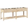 Trädgårdsplanterare med galler 203x53x76 cm Solid Furu vidaXL 203.5 x 53 x 76.5 cm – miniatyr 2