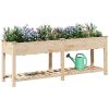 Trädgårdsplanterare med galler 203x53x76 cm Solid Furu vidaXL 203.5 x 53 x 76.5 cm – miniatyr 3