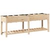 Trädgårdsplanterare med galler 203x53x76 cm Solid Furu vidaXL 203.5 x 53 x 76.5 cm – miniatyr 7