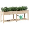 Trädgårdsplanterare med hylla 203x53x76 cm i massivt trä vidaXL Large – miniatyr 3