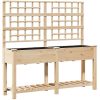 Trädgårdsplanterare med Spaljé & Hylla 161x43x152 cm Massivt Tallträ vidaXL Large – miniatyr 2