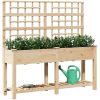 Trädgårdsplanterare med Spaljé & Hylla 161x43x152 cm Massivt Tallträ vidaXL Large – miniatyr 3