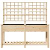 Trädgårdsplanterare med Spaljé & Hylla 161x43x152 cm Massivt Tallträ vidaXL Large – miniatyr 5
