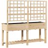 Trädgårdsplanterare med Spaljé & Hylla 161x43x152 cm Massivt Tallträ vidaXL Large – miniatyr 7