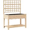 Trädgårdsplanterare med spaljé och hylla 115x59x152 cm i massivt furu vidaXL 115 x 60.5 x 153 cm – miniatyr 2