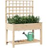 Trädgårdsplanterare med spaljé och hylla 115x59x152 cm i massivt furu vidaXL 115 x 60.5 x 153 cm – miniatyr 3