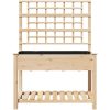 Trädgårdsplanterare med spaljé och hylla 115x59x152 cm i massivt furu vidaXL 115 x 60.5 x 153 cm – miniatyr 5