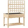 Trädgårdsplanterare med spaljé och hylla 115x59x152 cm i massivt furu vidaXL 115 x 60.5 x 153 cm – miniatyr 7