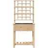 Trädgårdsplanterare med spaljé och hylla 71x37x152 cm Massivt Furu vidaXL 71 x 38 x 152 cm – miniatyr 5