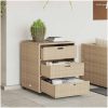 Trädgårdsskåp beige konstrotting vidaXL 55 x 59 x 69 cm – miniatyr 3
