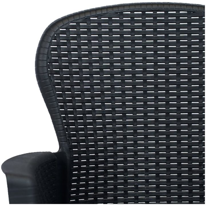Trädgårdsstol med dyna 2 st plast konstrotting antracit vidaXL – bild 5