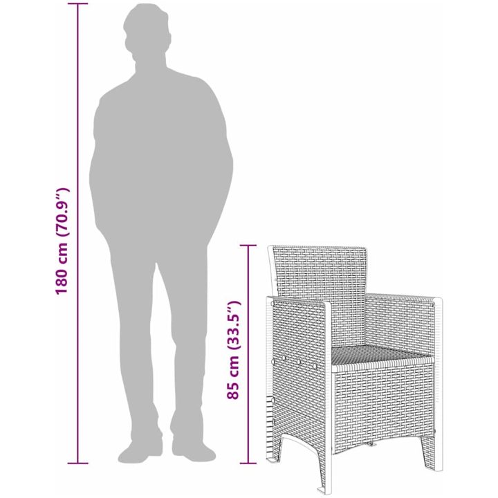 Trädgårdsstolar 2 st Antracit Poly Rattan vidaXL 53 x 49 x 85 cm – bild 11