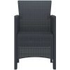 Trädgårdsstolar 2 st Antracit Poly Rattan vidaXL 53 x 49 x 85 cm – miniatyr 6