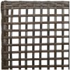 Trädgårdsstolar 2 st med Kuddar Brun Poly Rattan vidaXL 53 x 60 x 85 cm – miniatyr 8