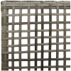 Trädgårdsstolar 2 st med kuddar Grå Poly Rattan vidaXL 53 x 60 x 85 cm – miniatyr 8