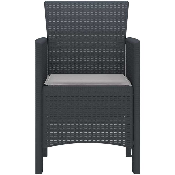 Trädgårdsstolar med kuddar 2 st Antracit Poly Rattan vidaXL 53 x 49 x 85 cm – bild 6