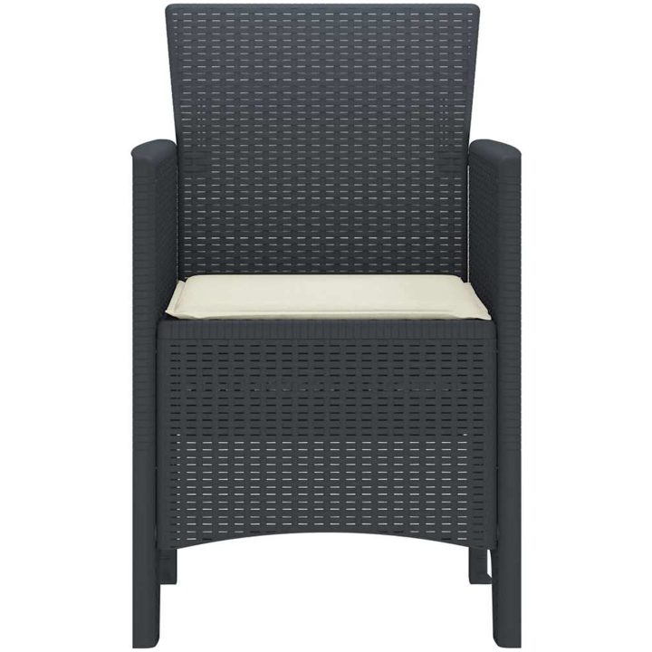 Trädgårdstolar med Kuddar 2 st Anthracite Poly Rattan vidaXL 53 x 49 x 85 cm – bild 6