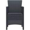 Trädgårdstolar med Kuddar 2 st Antracit Poly Rattan vidaXL 53 x 49 x 85 cm – miniatyr 6