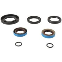 Transaxle Seal Kit All Balls