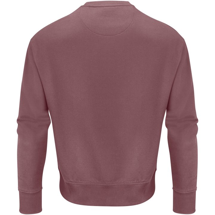 Tröja Hopedale Crewneck Dammröd James Harvest – bild 3