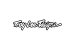 TROY LEE DESIGNS logotyp