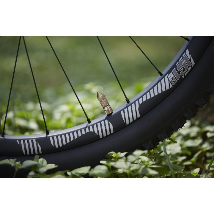 Tubeless Ventilset E*THIRTEEN – bild 2