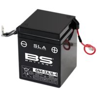Underhållsfritt Sla Batteri Fabriksaktivt BS BATTERY