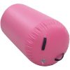 Uppblåsbar gymnastikrulle med pump PVC rosa vidaXL 120 x 90 cm – miniatyr 4