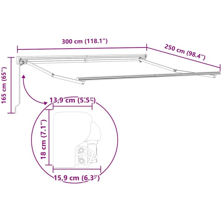 Utfällbar markis Ljusgrå Polyester vidaXL 300x250 cm – bild 10
