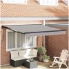 Utfällbar markis Ljusgrå Polyester vidaXL 300x250 cm – miniatyr 1