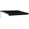 Utfällbar markis Svart Polyester vidaXL 300x250 cm – miniatyr 2