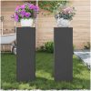 Utomhus Växställ Pelare 2 st Svart Stål vidaXL 24 x 24 x 75 cm – miniatyr 4