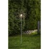 Utomhusdekoration Firework Outdoor Silver Star Trading – miniatyr 5