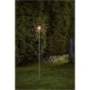 Utomhusdekoration Firework Outdoor Silver Star Trading – miniatyr 2